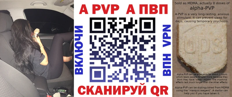 A-PVP СК КРИС  Западная Двина 