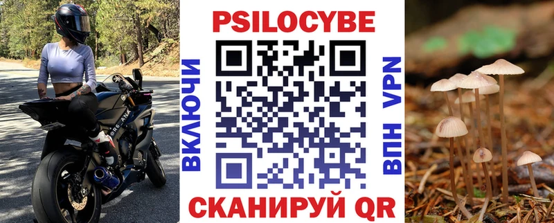 MEGA ССЫЛКА  Западная Двина  Псилоцибиновые грибы MAGIC MUSHROOMS 